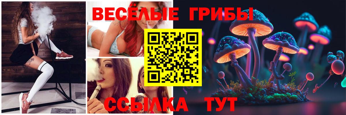 Псилоцибиновые грибы мухоморы  Вход с VPN  купить  цена  Ростов-на-Дону 