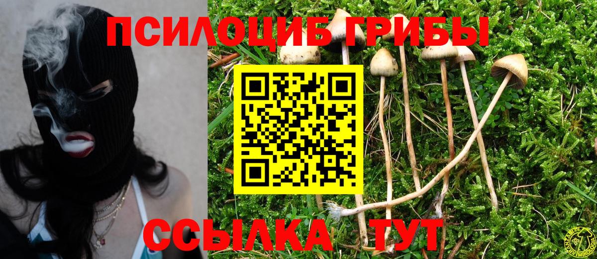 Псилоцибиновые грибы Magic Shrooms Ростов-на-Дону